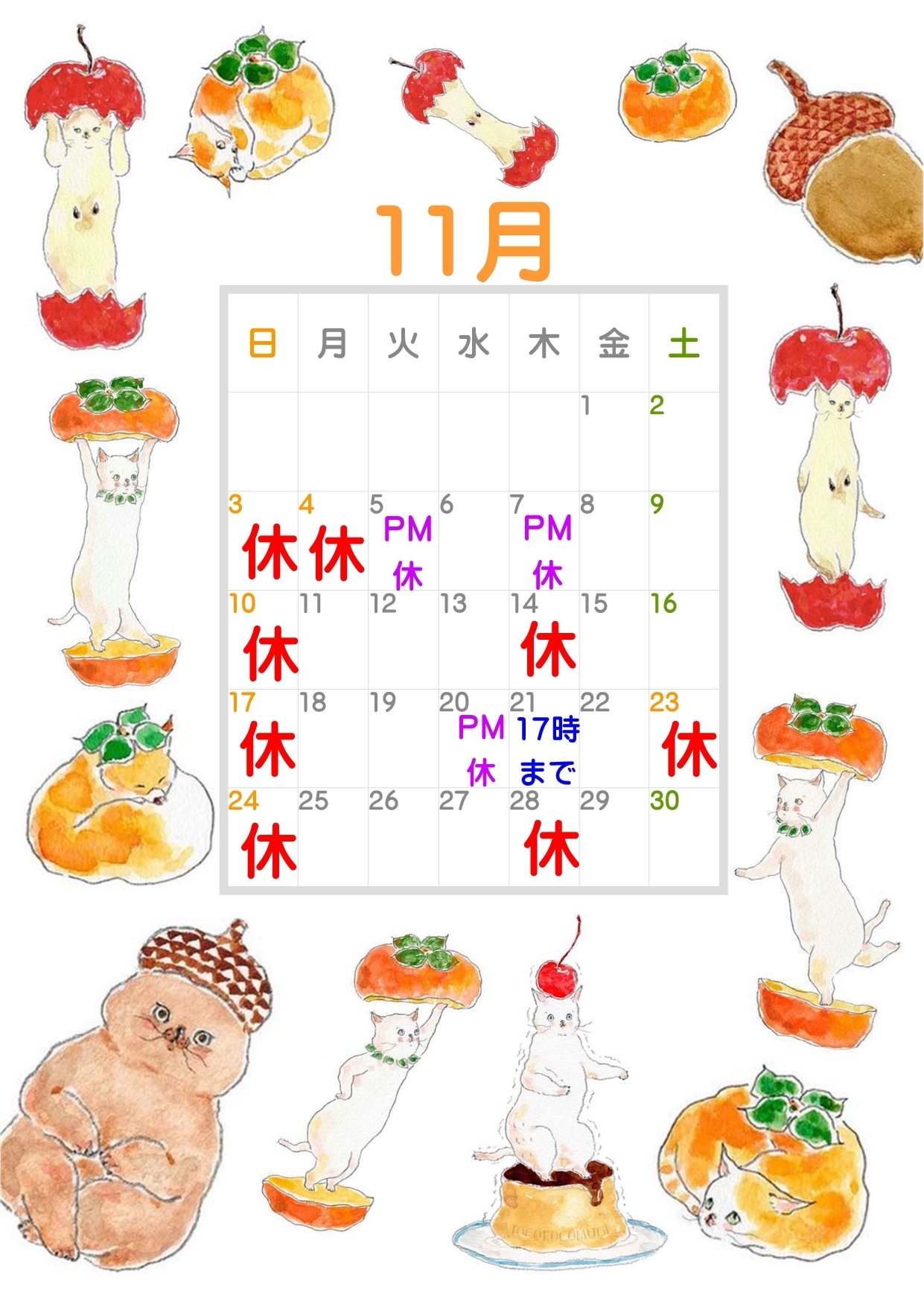 11月休診日